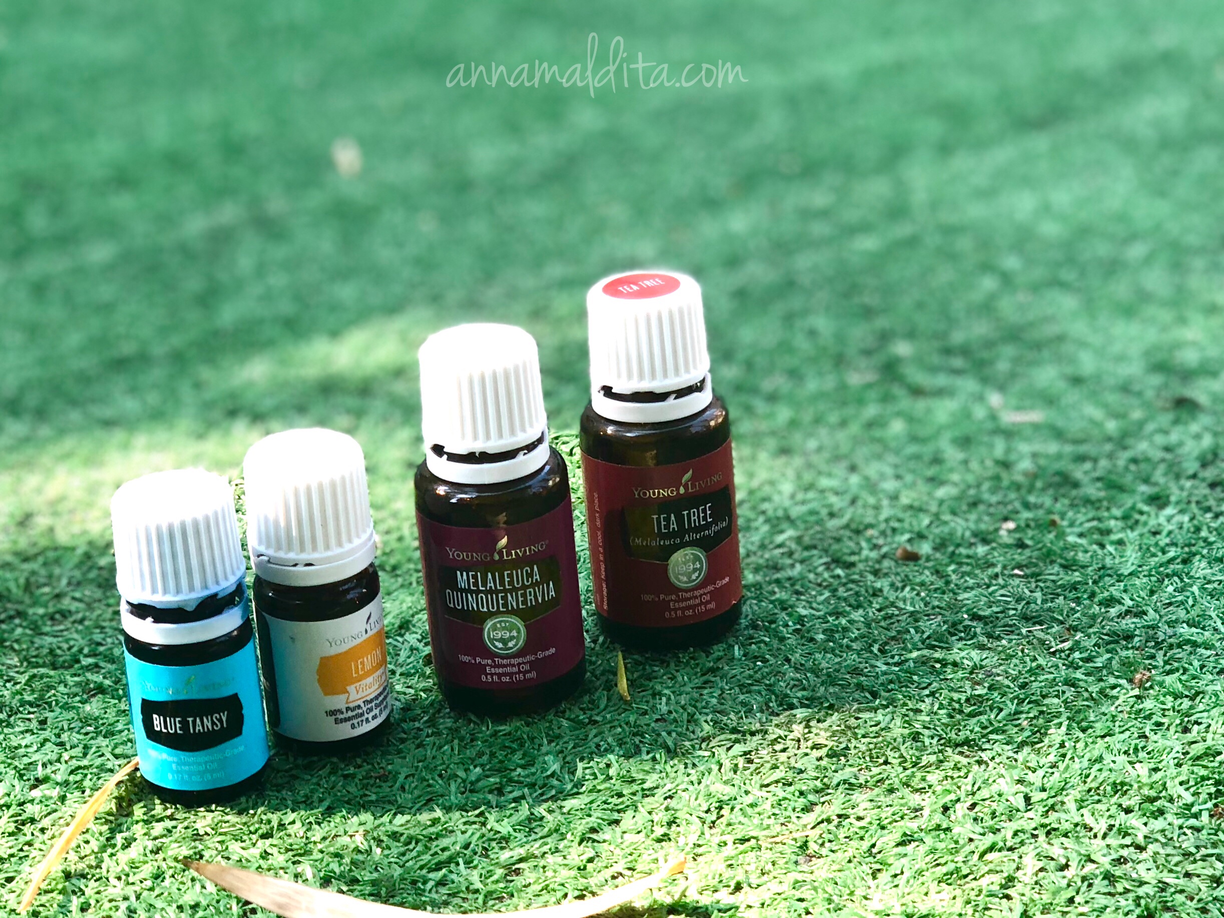 MARCH ESSENTIAL REWARDS